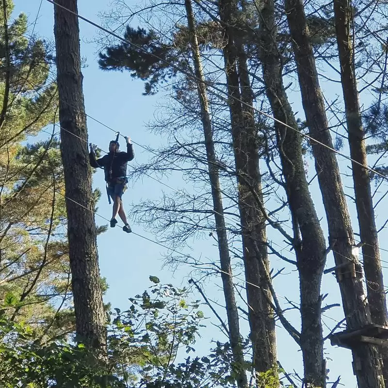 Adrenalin Forest Bay of Plenty