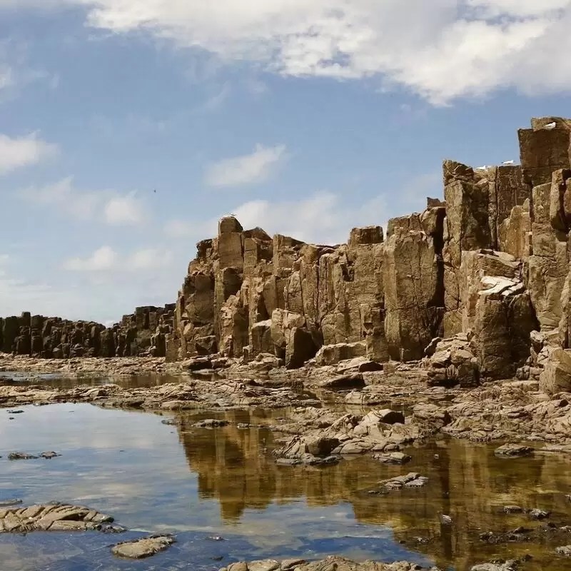 Bombo Headland Geological Site