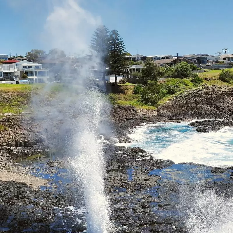 Little Blowhole