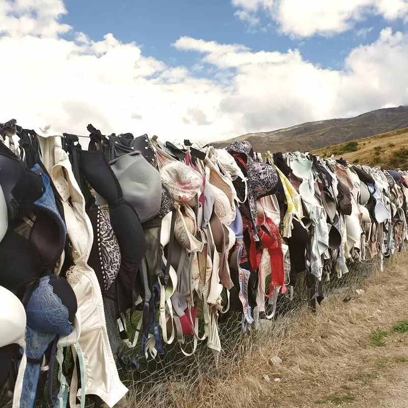 Cardrona Bra Fence