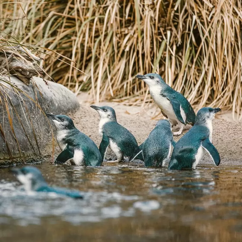 The National Aquarium of New Zealand