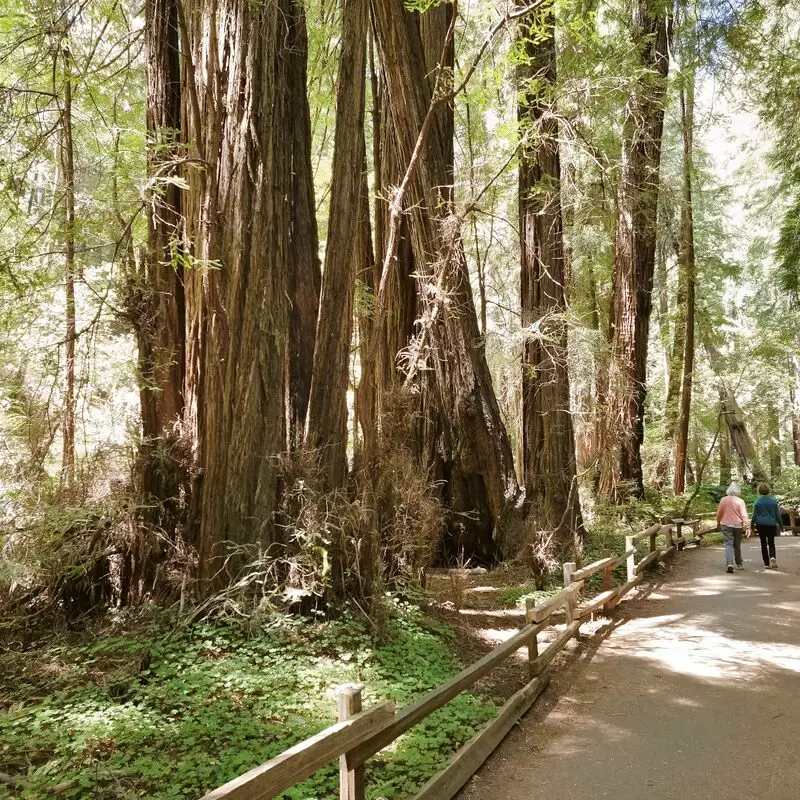 Muir Woods National Monument