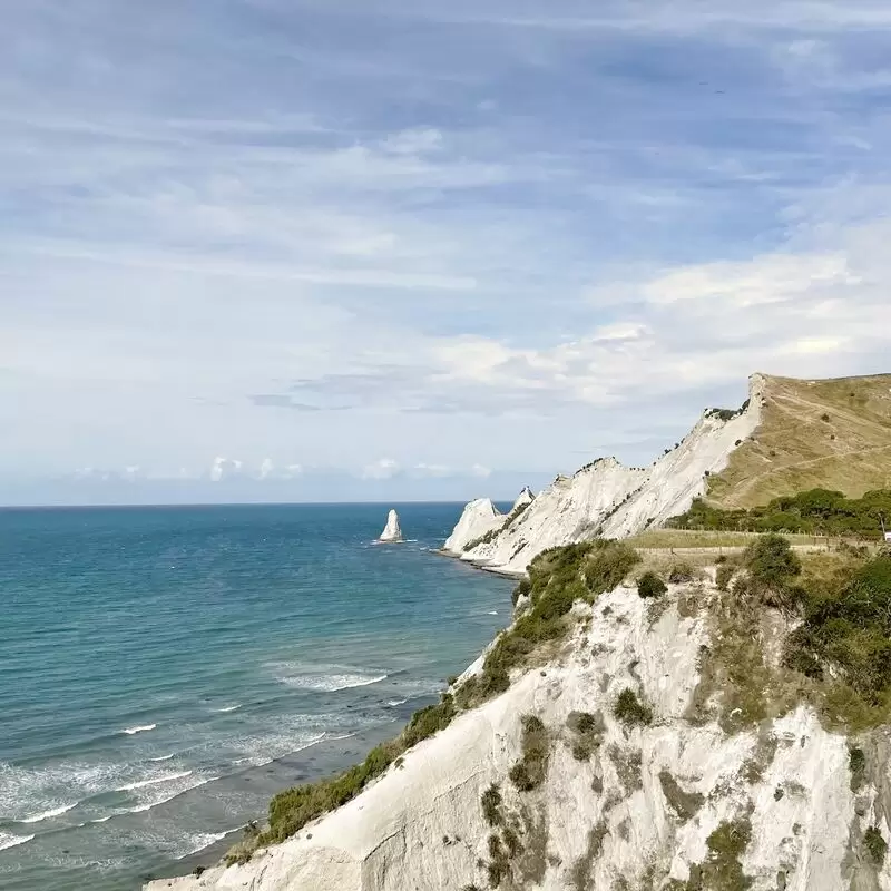 Cape Kidnappers