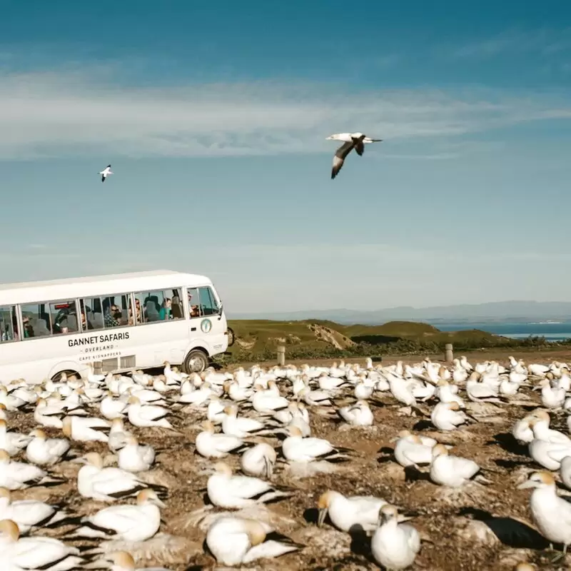 Gannet Safaris Overland Ltd