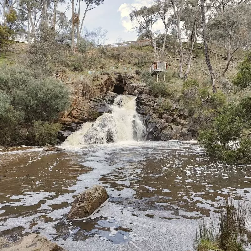 The Blowhole