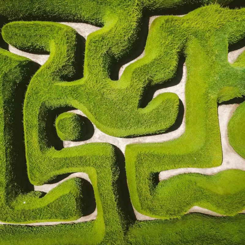 Maze House