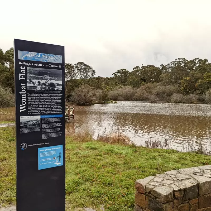 Wombat Flat Mineral Spring