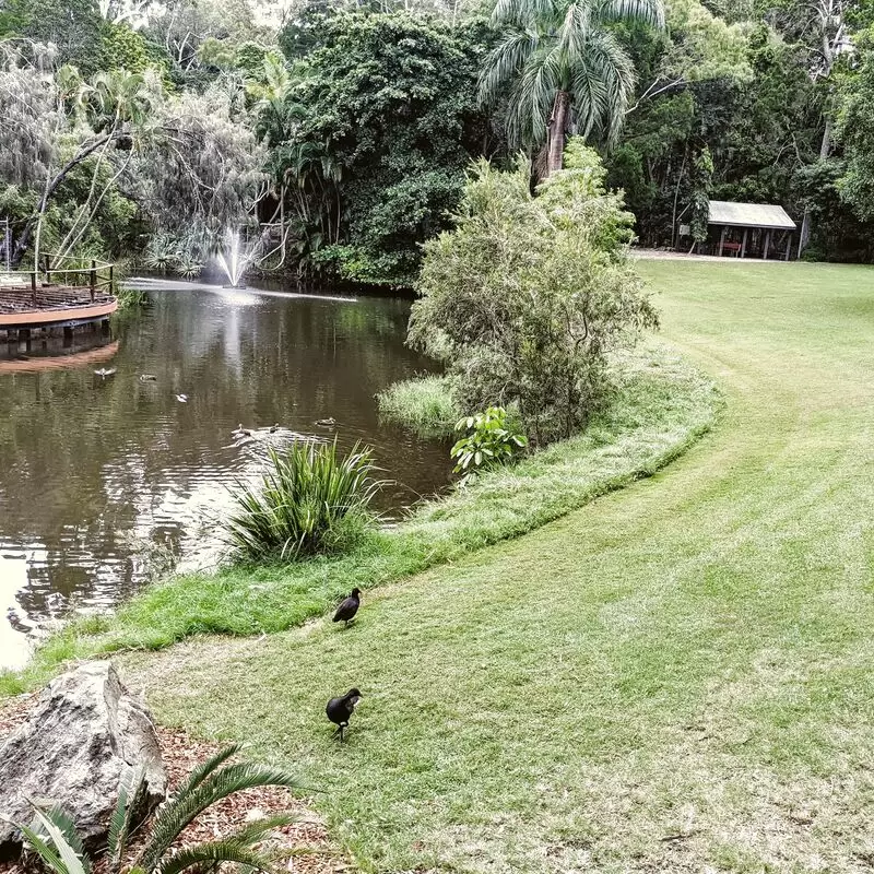 Hervey Bay Botanic Gardens