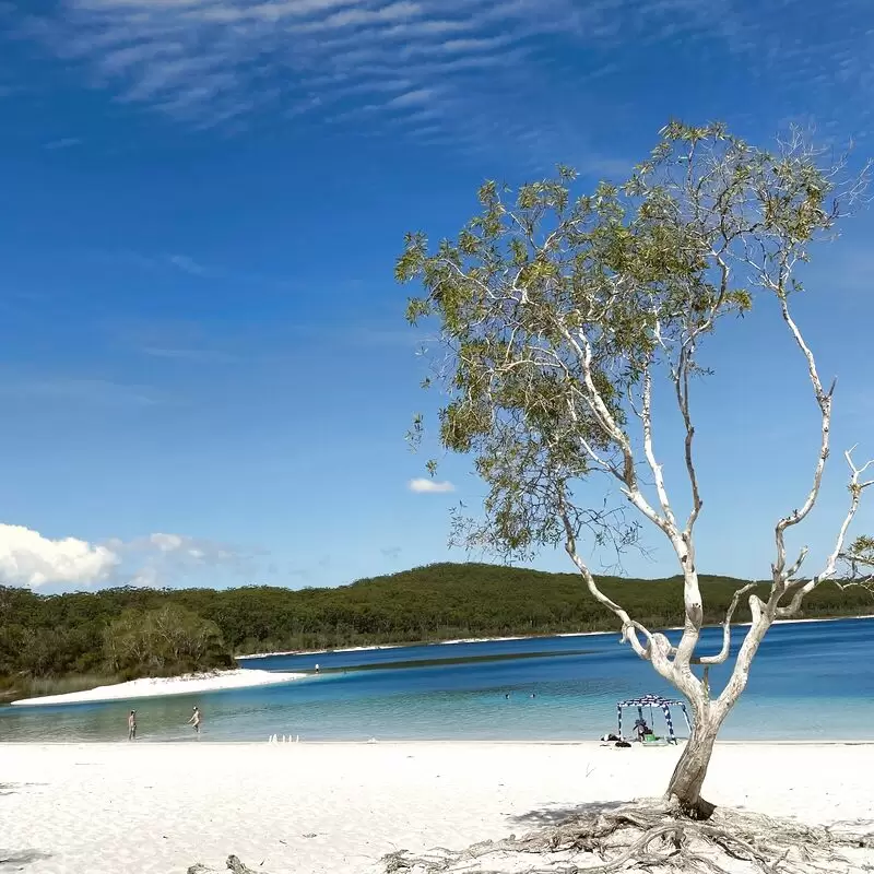 Lake Mckenzie Boorangoora)