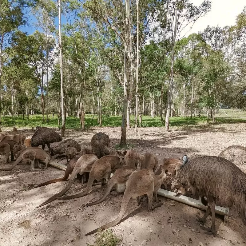 Fraser Coast Wildlife Sanctuary