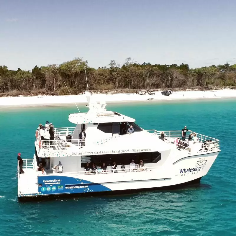 Whalesong Cruises Hervey Bay