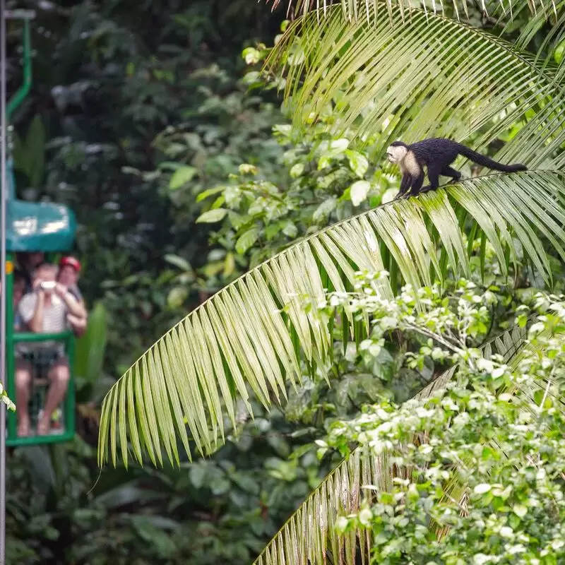 Rainforest Adventures Braulio Carrillo