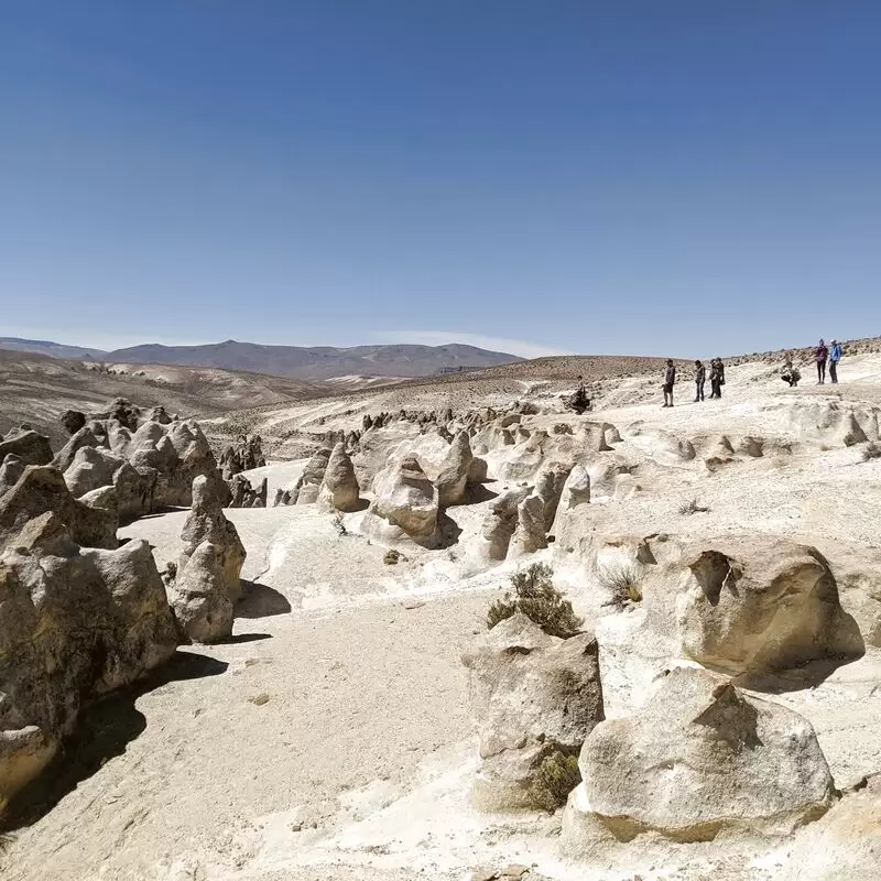 Salinas and Aguada Blanca National Reservation