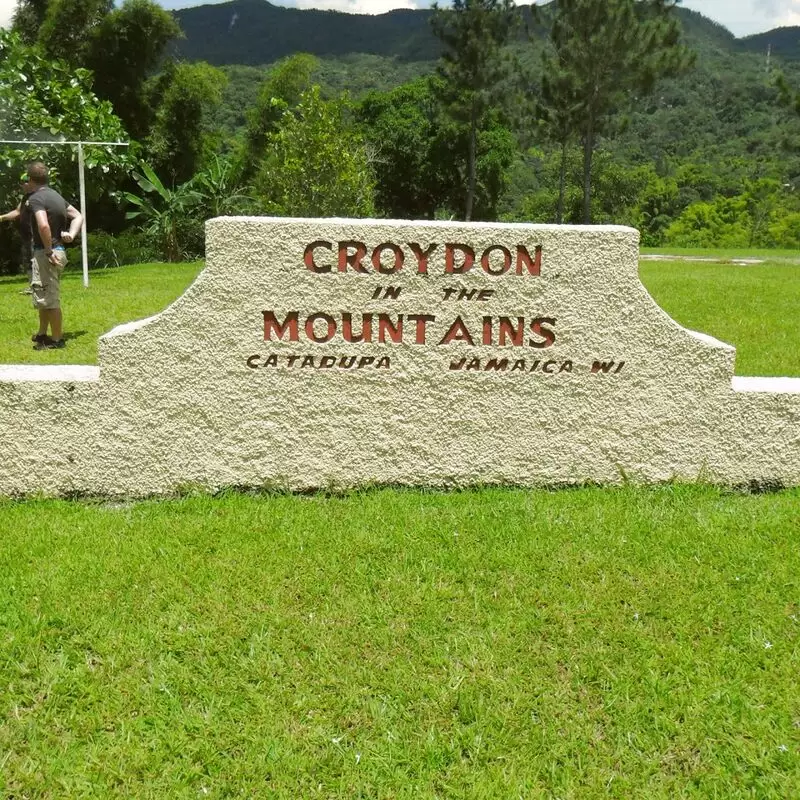 Croydon In The Mountains