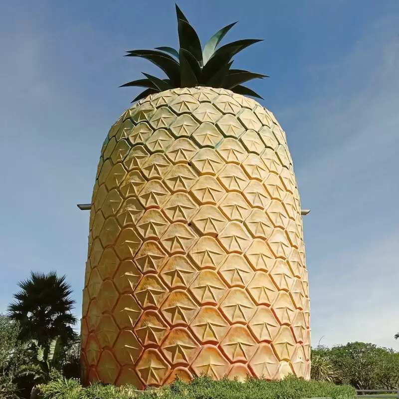 The Big Pineapple