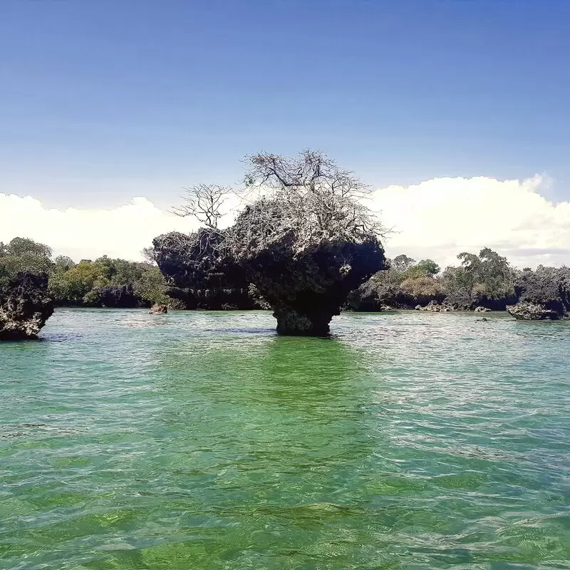 The Safari Blue Zanzibar