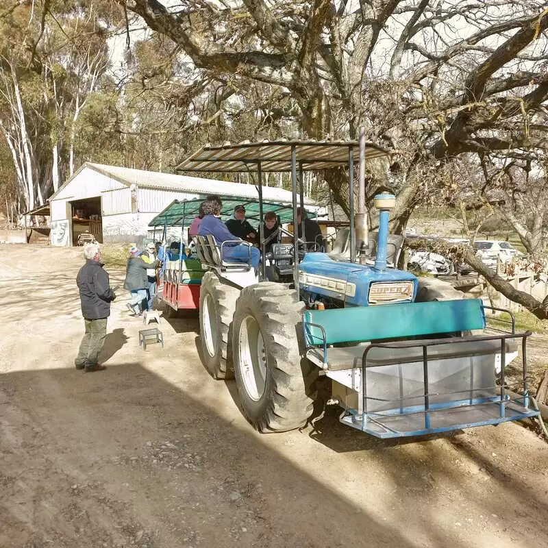 Protea Farm Tractor Rides and Potjie Kos Lunch