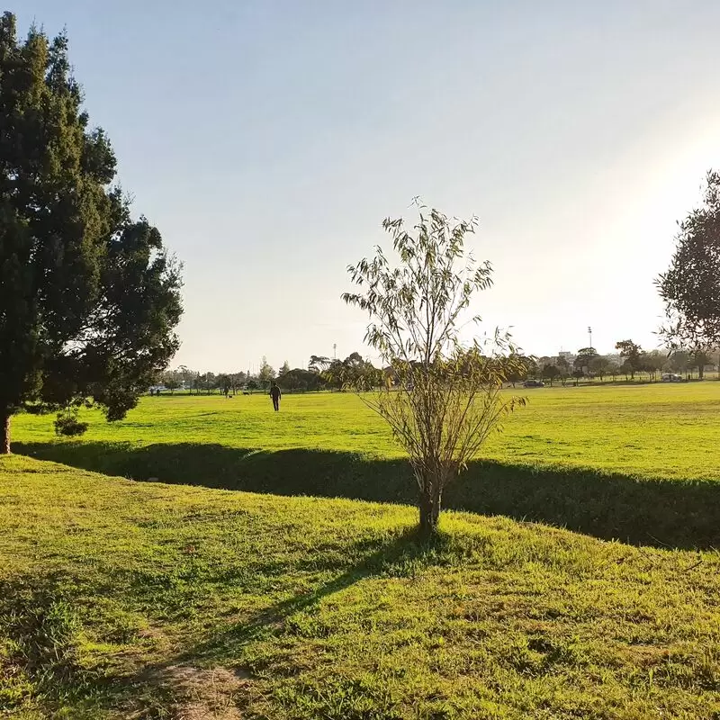 Radloff Park Dog Park