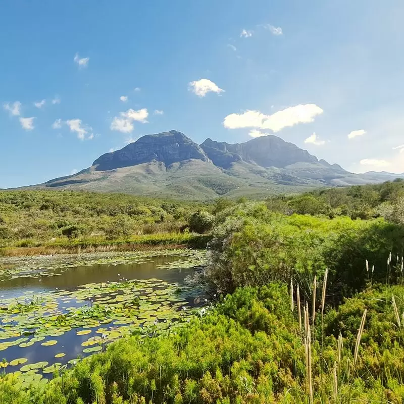 Helderberg Nature Reserve