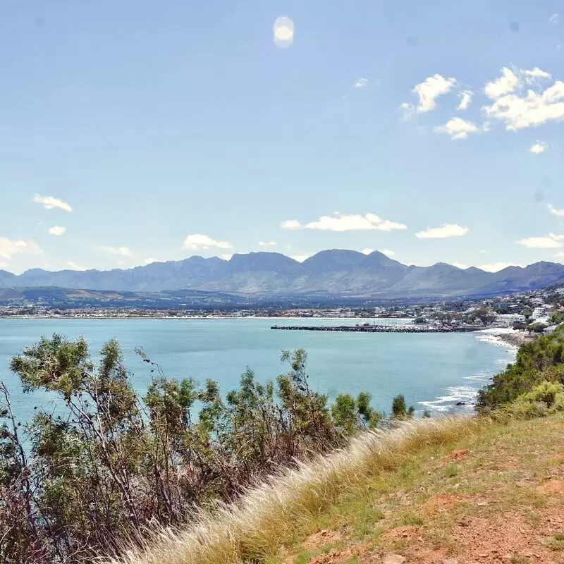 Whale Lookout Point