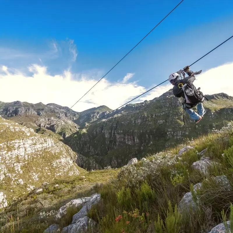 Cape Canopy Tour