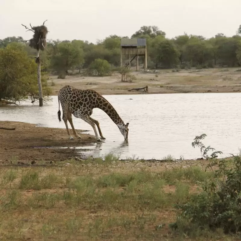 The Klaserie Private Nature Reserve