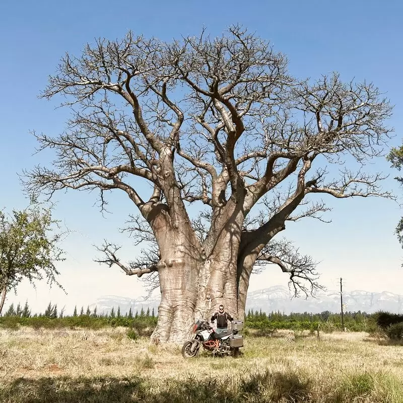 Ndlovumzi Nature Reserve