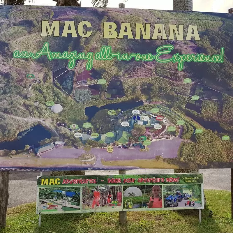 Mac Banana