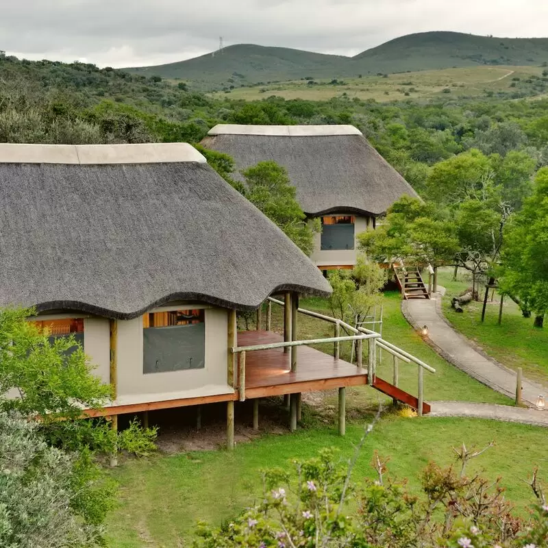 Garden Route Safari Camp