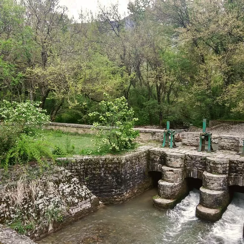 Dachigam National Park