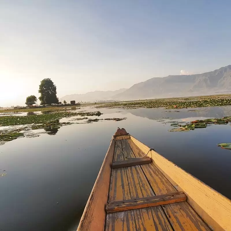 Char Chinar Dal lake