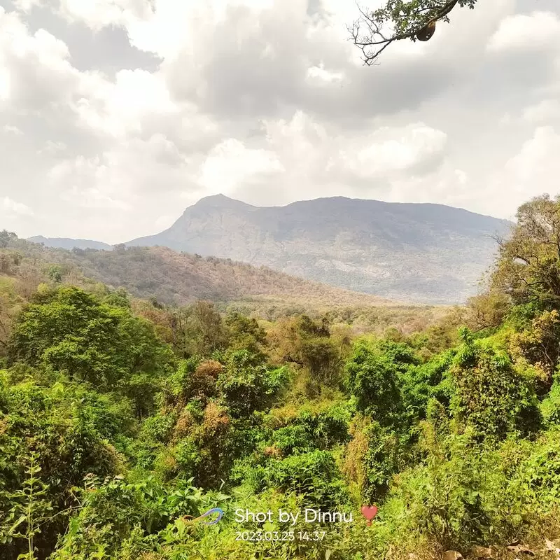 Siruvani Waterfall