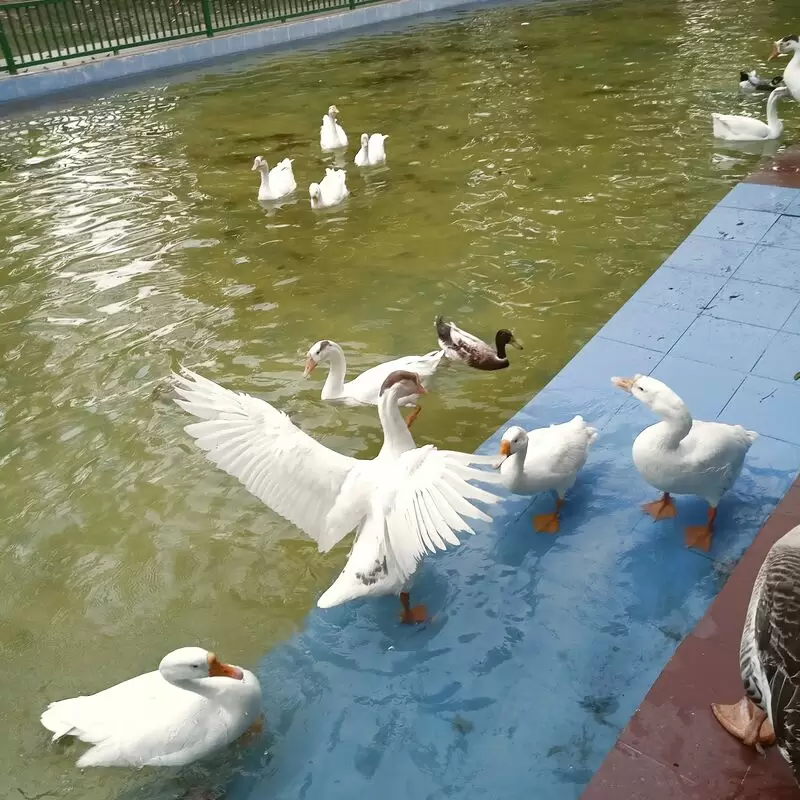 Dr. Ram Manohar Lohia Park