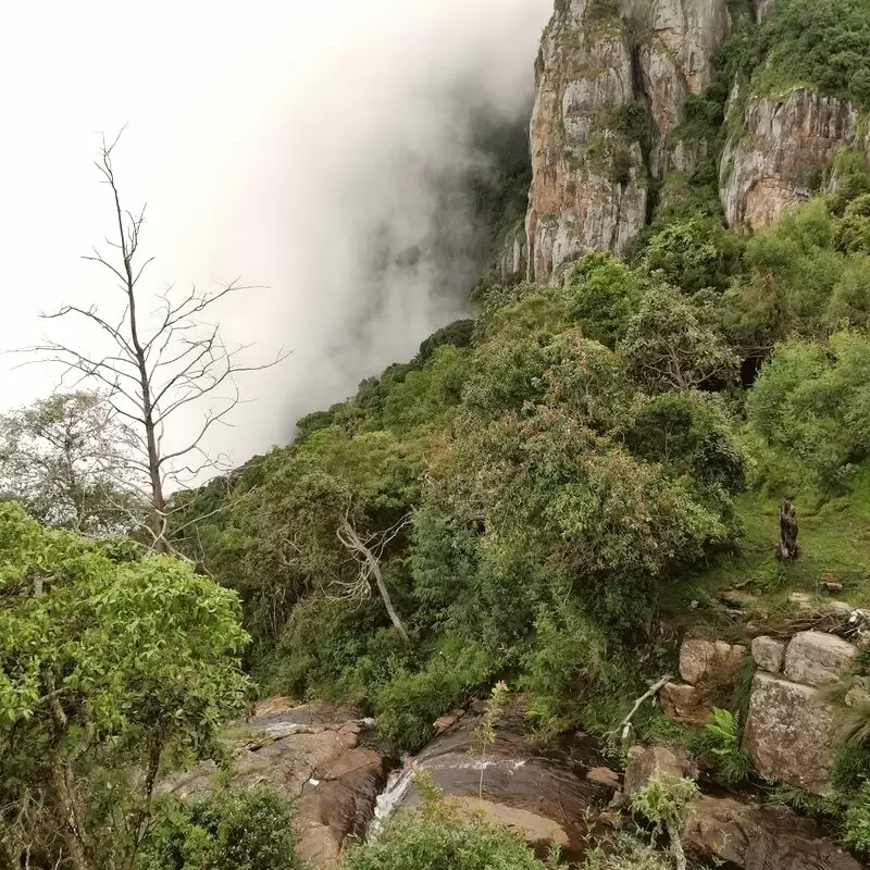 Pillar Rocks Viewpoint