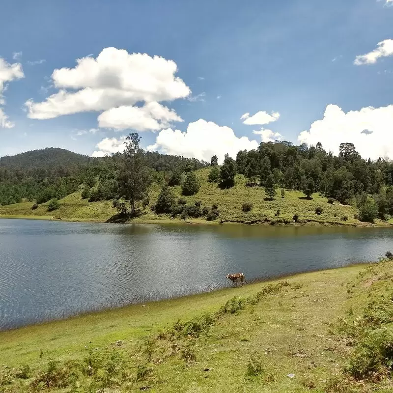 Mannavanur Lake