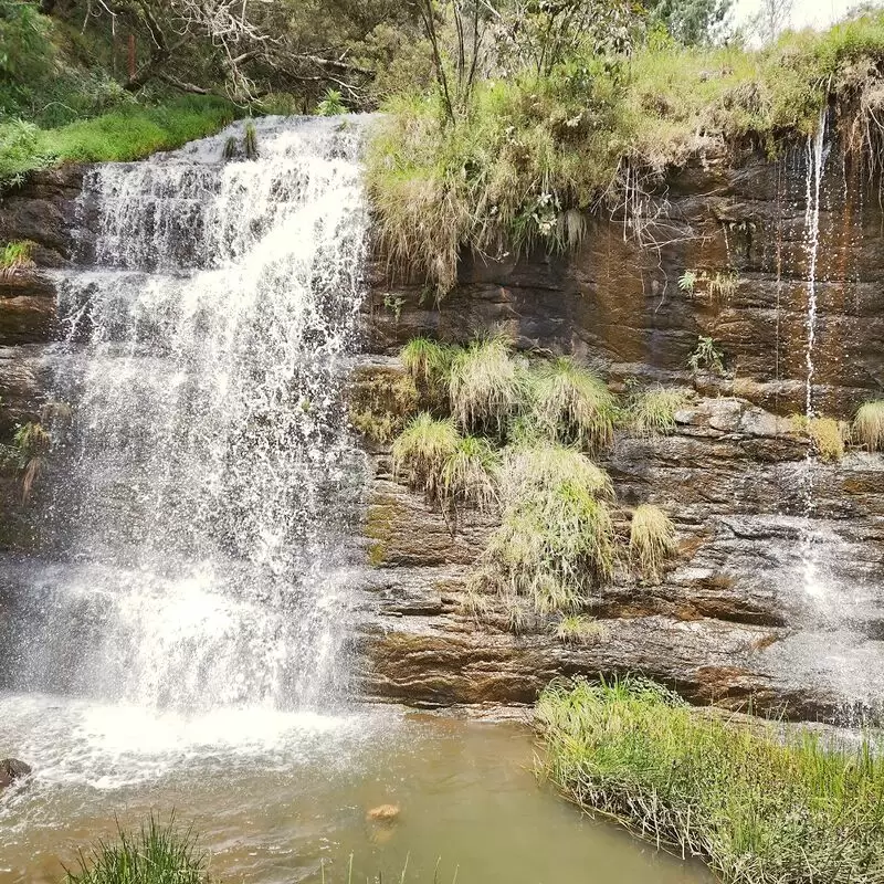 Fairy Falls