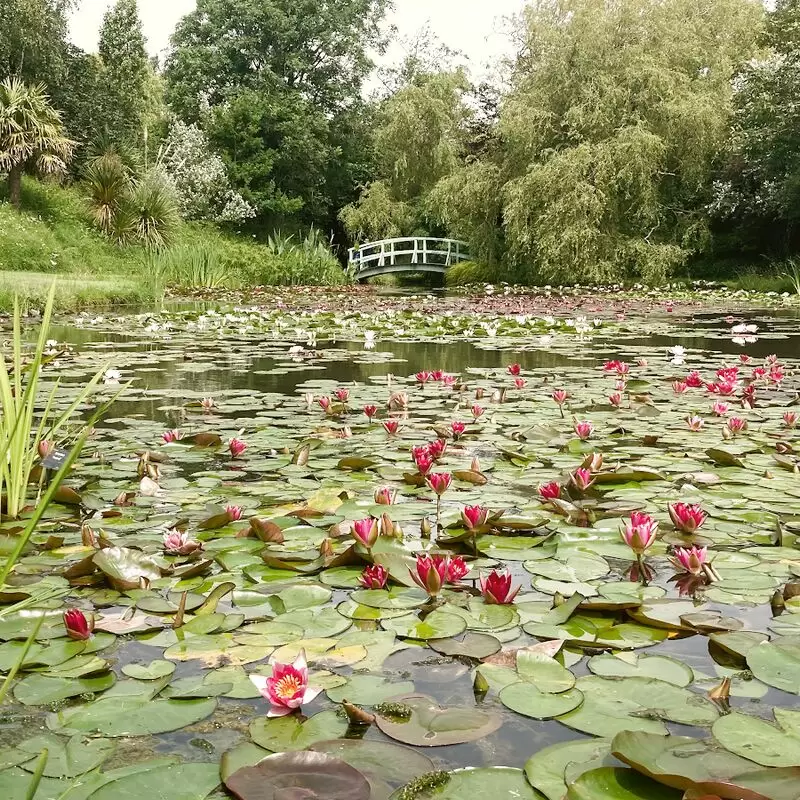 Bennetts Water Gardens