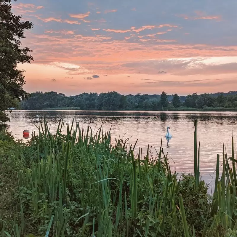 Whitlingham Country Park