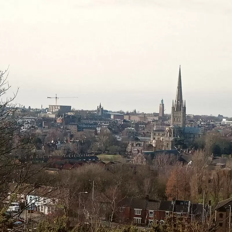 Mousehold Heath