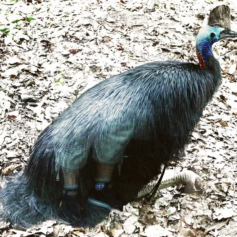 WILD LIFE Sydney Zoo