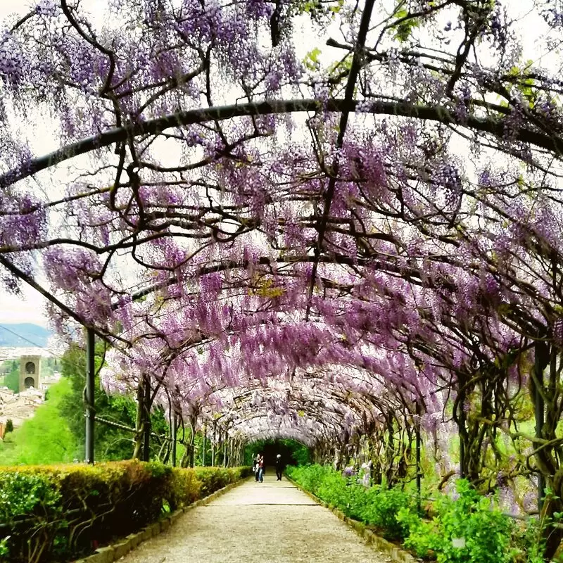 Giardino Bardini