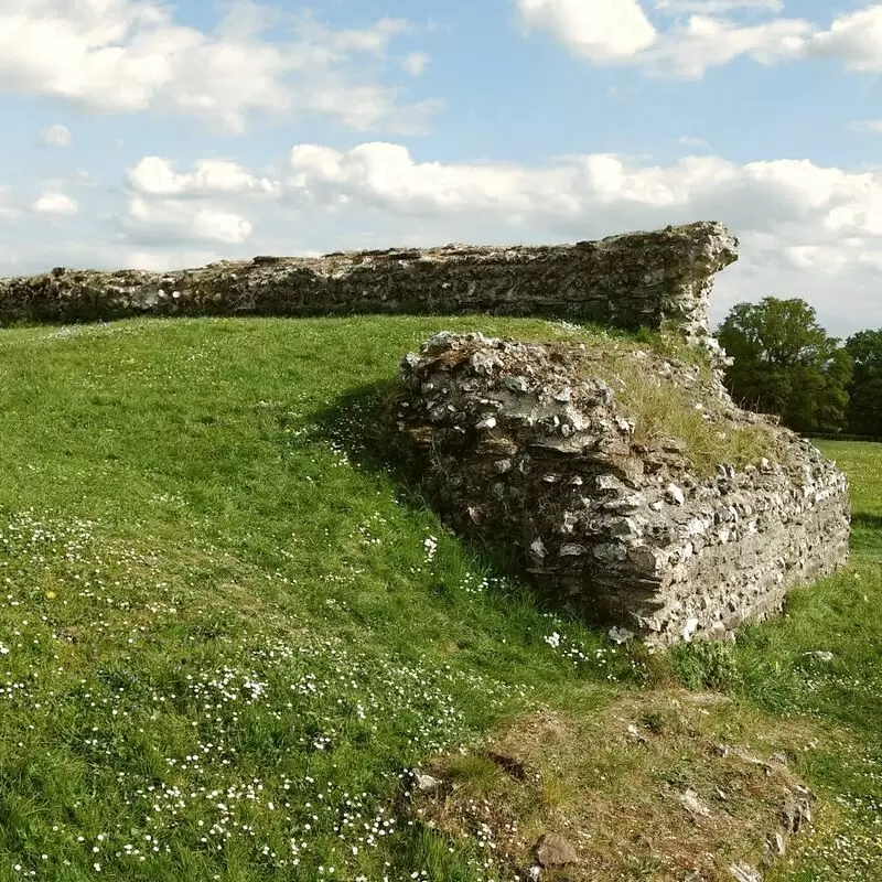 Silchester Roman City Walls & Amphitheatre