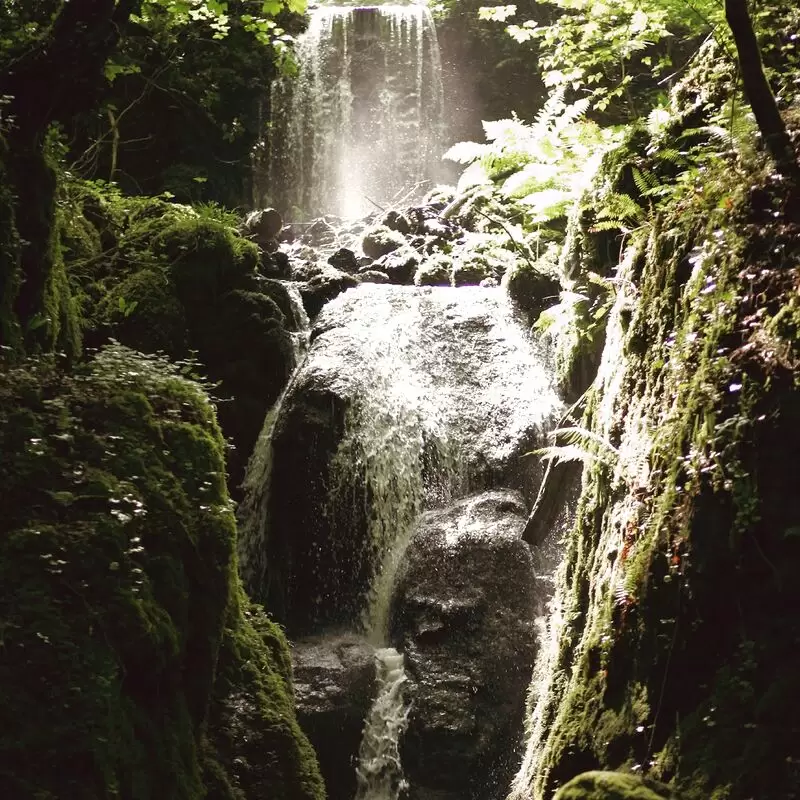 Canonteign Falls