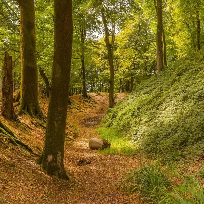 Woodbury Castle