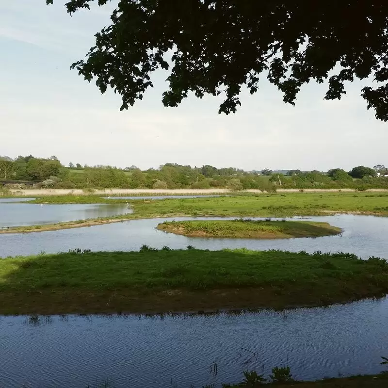 RSPB Bowling Green Marsh