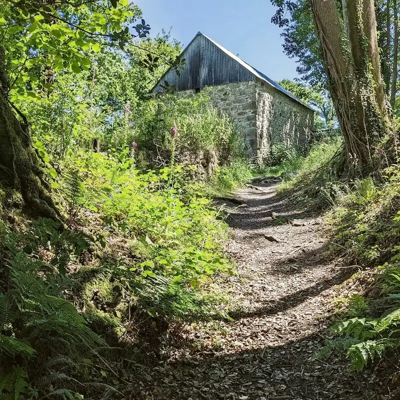 East Dartmoor National Nature Reserve