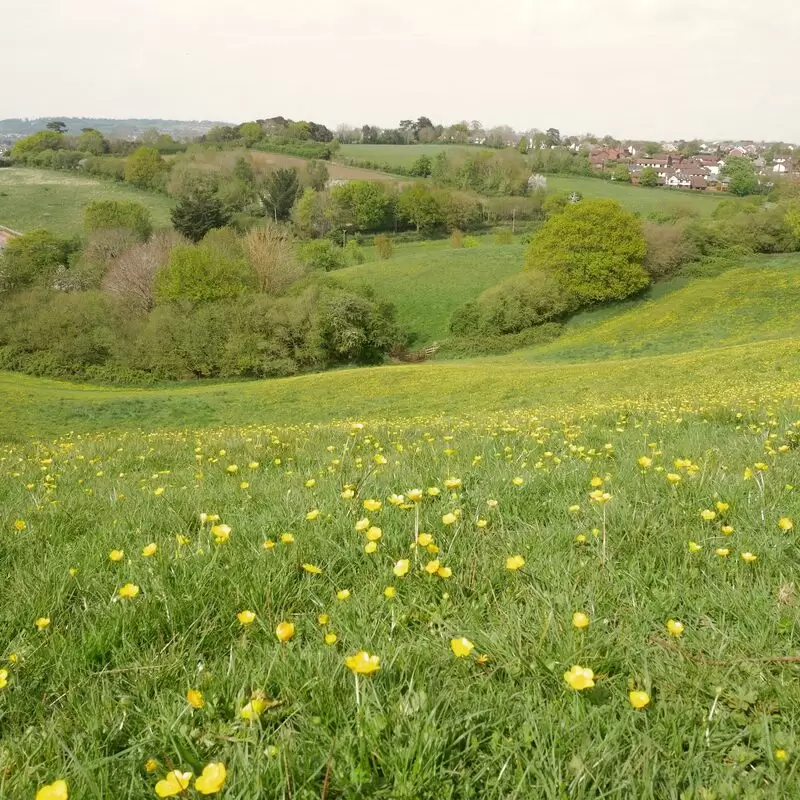 Ludwell Valley Park