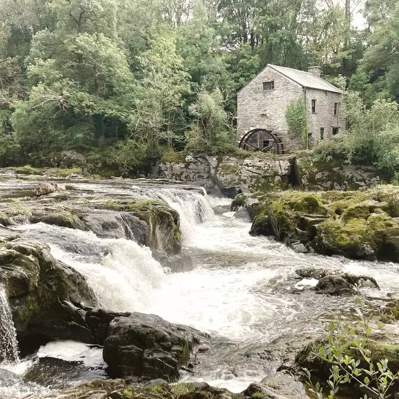 Cenarth Falls