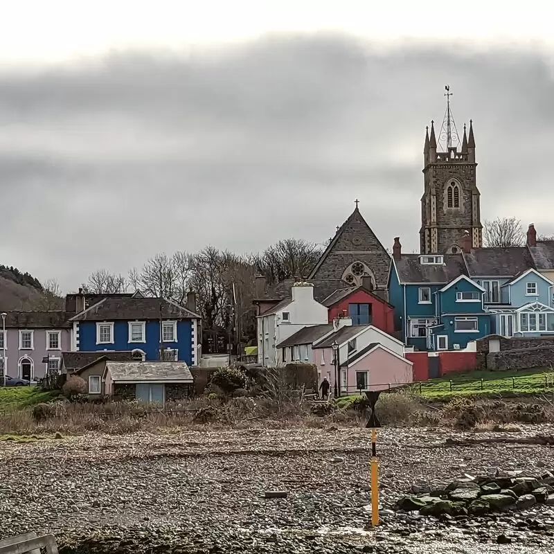 Cardigan Bay Marine Wildlife Centre