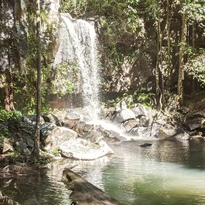 Tamborine National Park